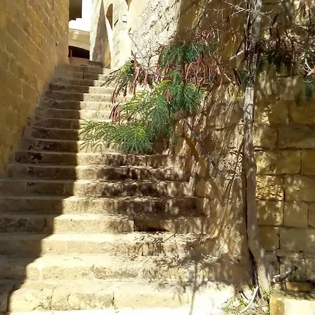 Rubis * ויקטוריה