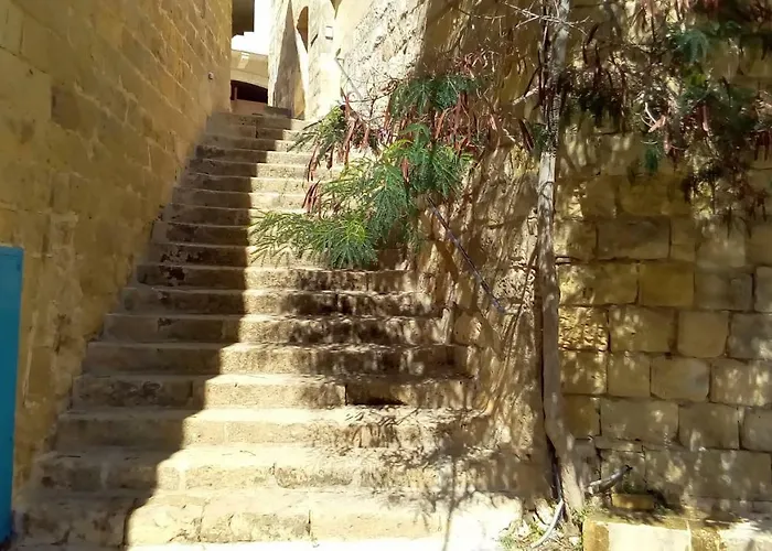 Rubis * ויקטוריה